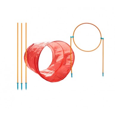 ערכת אג'ילטי וספורט לכלבים